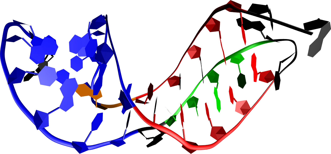 常用蛋白表白系统——优弊端、利用领域