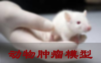 JDB电子肿瘤模型成立服务