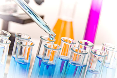 JDB电子生物尝试