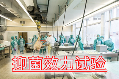 抑菌效力试验的菌悬液造备、接种及了局评价