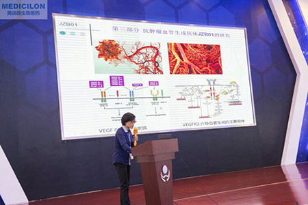 中国药科大学张娟副教授作抗肿瘤血管天生抗体JZB01钻研汇报