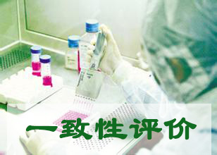 一致性评价-总局征求改盐基药品评价通常思考的定见