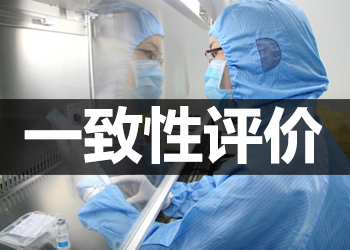 一致性评价 一致性评价
