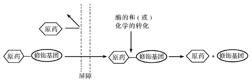 前药的由来及根基特点
