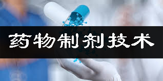 药物造剂技术平台