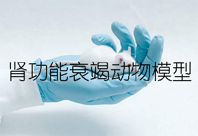肾职能衰竭动物模型 肾职能衰竭动物模型