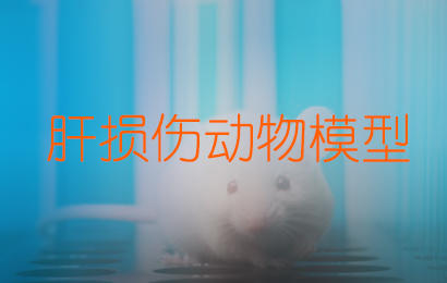肝危险动物模型/四氯化碳肝危险模型