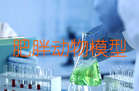 肥胖动物模型成立步骤与造模技术