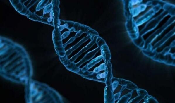 JDB电子·(中国区)试玩平台-JDB电子游戏官网
