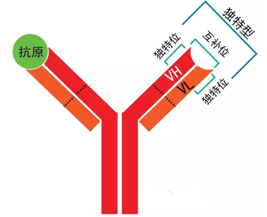 JDB电子·(中国区)试玩平台-JDB电子游戏官网