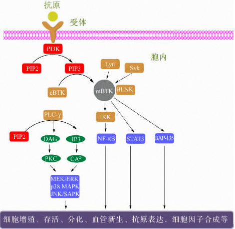 JDB电子·(中国区)试玩平台-JDB电子游戏官网