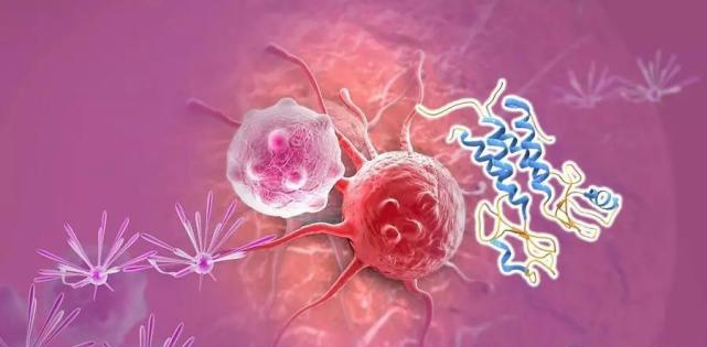【盘点】高选择性mTOR抑造剂的钻研过程_JDB电子生物医药