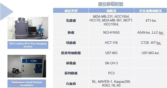 JDB电子药效学动物模型