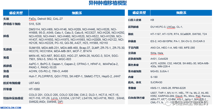 JDB电子异种肿瘤移植模型清单