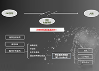 人为合成NT类脂质盛开血脑樊篱，为CNS药物打开新局面