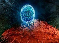 Nature：BATF3改善T细胞影象应答，有望改善免疫疗法的疗效