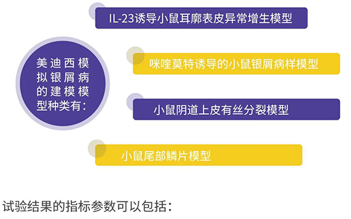 JDB电子仿照银屑病的建模模型种类