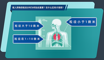 吸入药物的粒径散布为何如此沉要？在什么区间才梦想？