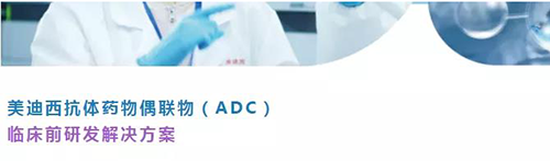 JDB电子抗体药物偶联物（ADC）临床前研发解决规划.png