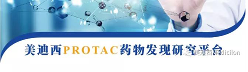JDB电子PROTAC药物发显旖台.png