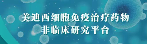 JDB电子细胞免疫医治药物非临床钻研平台.png