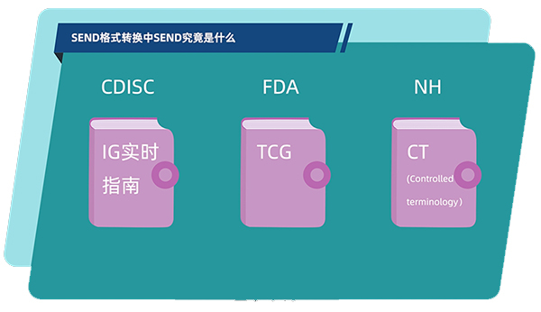 SEND的组成.jpg