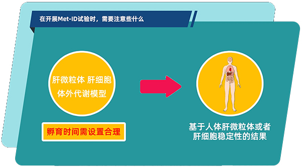 肝微粒体、肝细胞体表代谢模型中，孵育功夫需设置合理.jpg