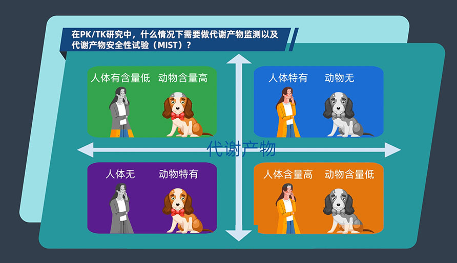 在PK-TK钻研中，什么情况下必要做代谢产品监测以及代谢产品安全性试验（MIST）