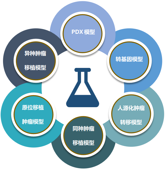 JDB电子致力于为客户提供成熟的评估ADC体内药效的肿瘤模型.png