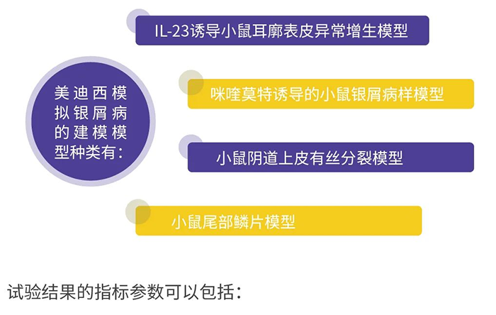JDB电子仿照银屑病的建模模型.png