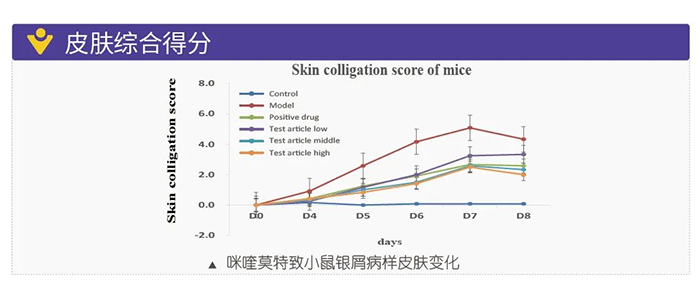 JDB电子仿照银屑病的建模模型-皮肤综合得分.png