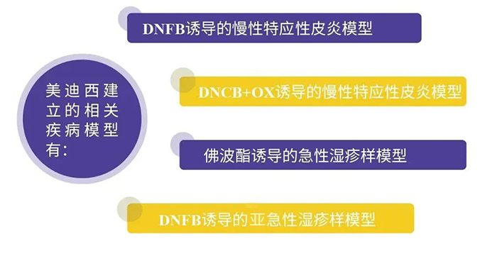 JDB电子成立的特应性皮炎模型.png