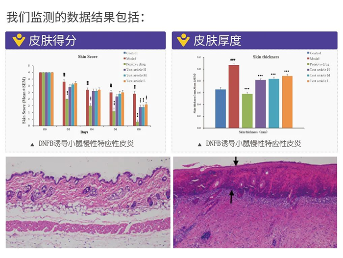 JDB电子监测的数据了局.png