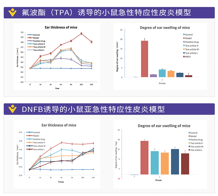 DNFB诱导的幼鼠亚急性特应性皮炎模型.png