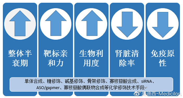 化学建饰技术对核酸药物影响.jpg