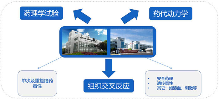 JDB电子ADC药物研发服务内容.jpg