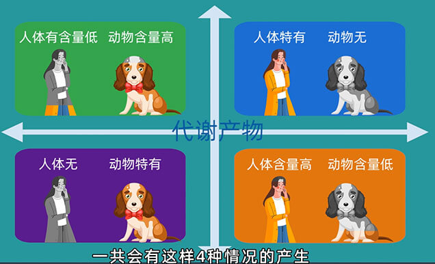 在PK-TK钻研中，什么情况下必要做代谢产品监测以及代谢产品安全性试验（MIST）.jpg
