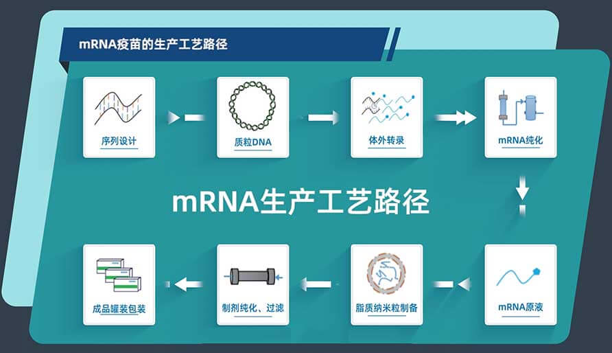 mRNA疫苗的出产工艺蹊径