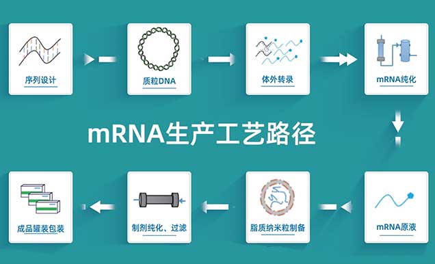 mRNA疫苗的出产工艺蹊径.jpg