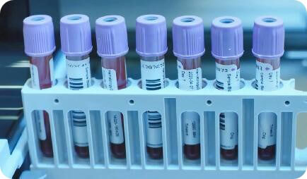 体表生物学.jpg