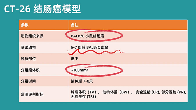 全方位相识CT-26结肠癌模型.jpg