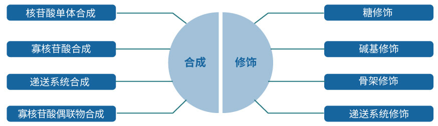 JDB电子核酸药物研发服务平台.jpg