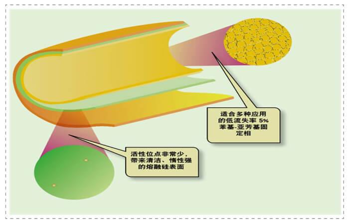 图3-管壁涂渍开口柱内表表未齐全屏蔽的活性位点.jpg