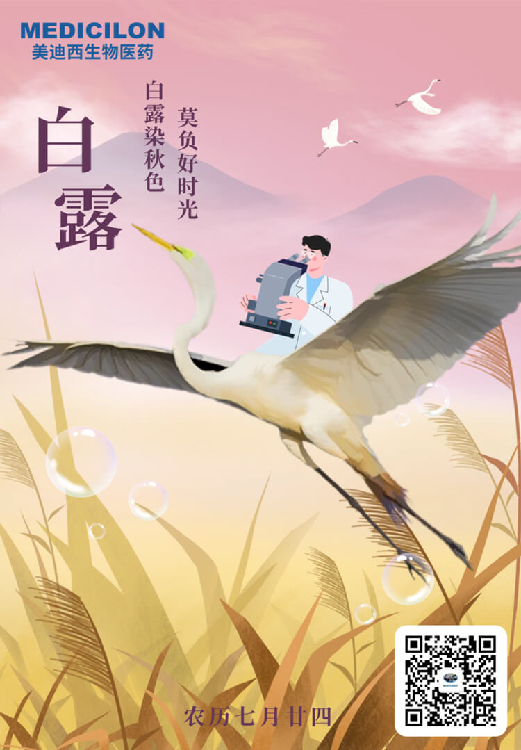 白露染秋色，莫负好时光.jpg