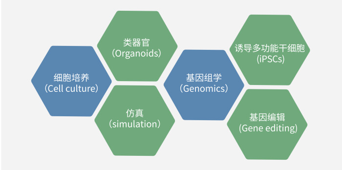六大技术板块已上线，持续升级中.jpg