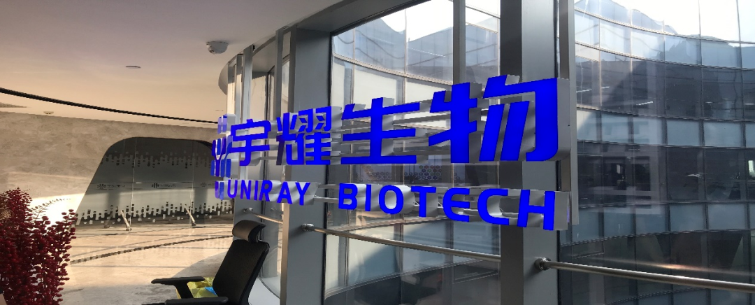 JDB电子助力 | 宇耀生物STAT3双磷酸化位点抑造剂YY201成功实现中美双报