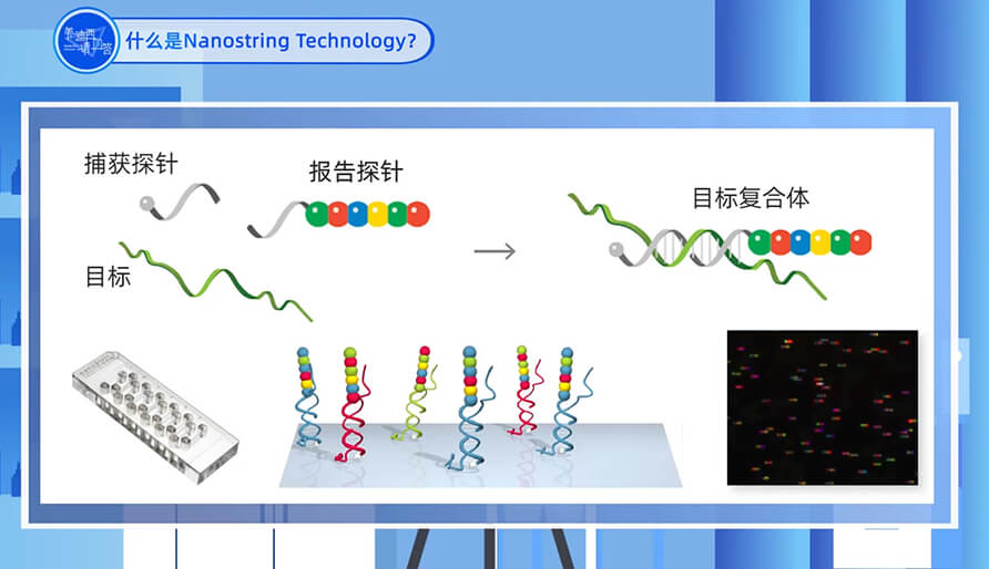 什么是Nanostring 技术？
