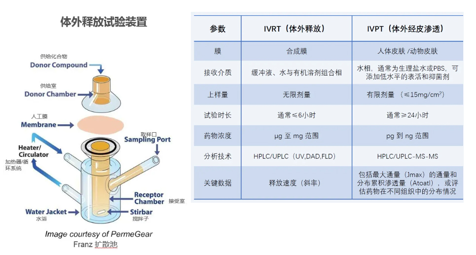 IVRT（体表开释）及IVPT（体表渗入）钻研.jpg