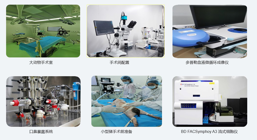 大动物尝试仪器设备.jpg