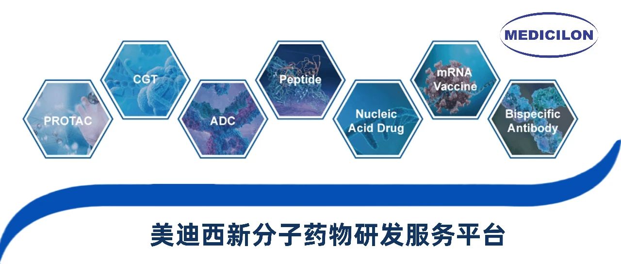 JDB电子新分子类型药物研发服务平台